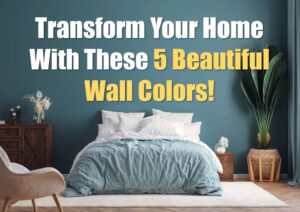 Wall Colors Transform your home dv studio color combination