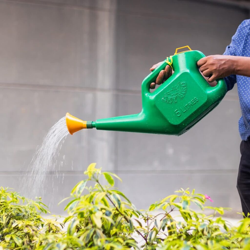 Watering Can for gardening