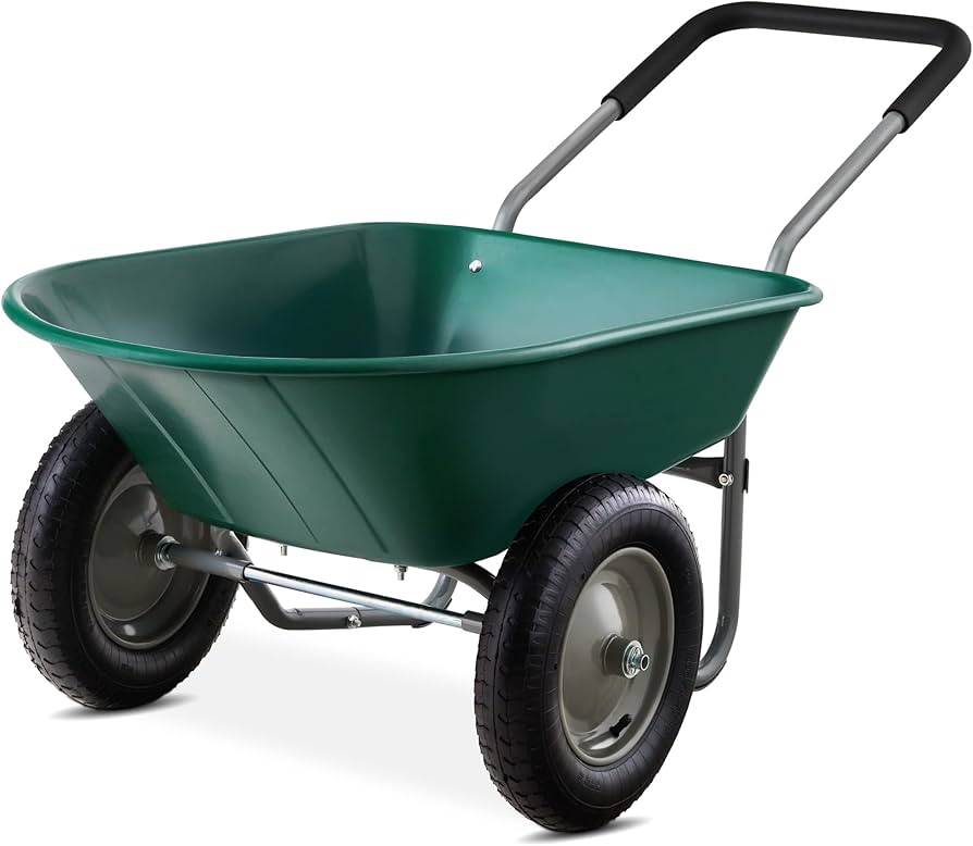 wheelbarrow for the gardening tools