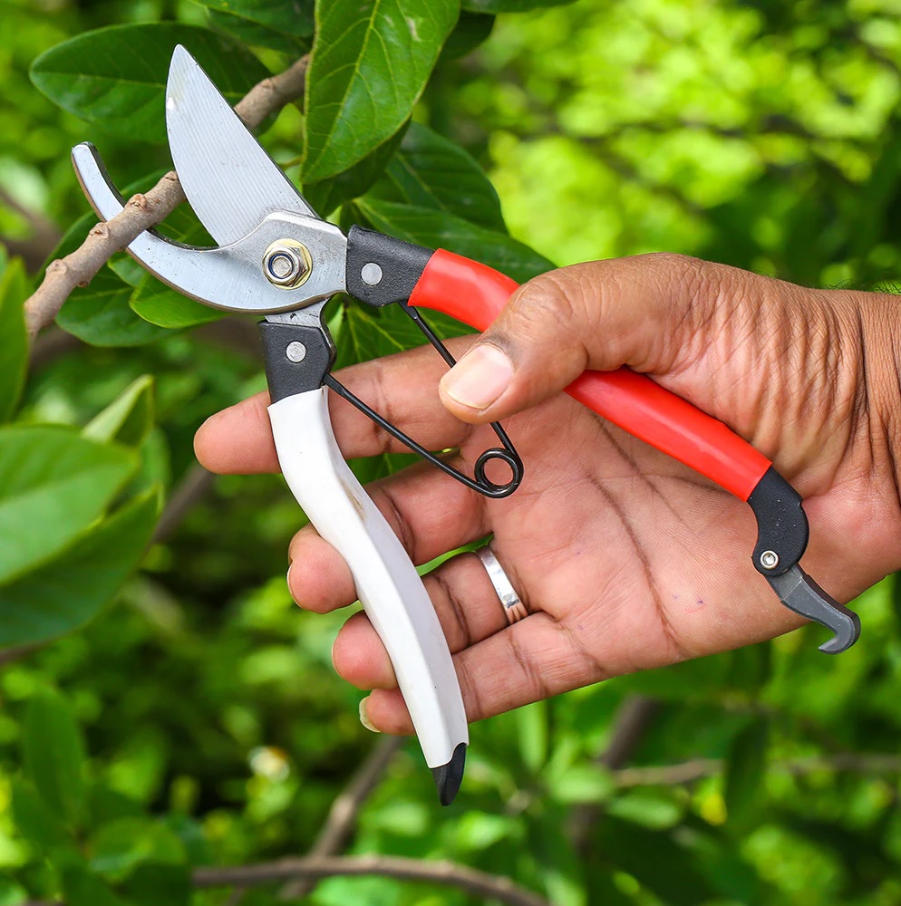 hand pruners for gardening